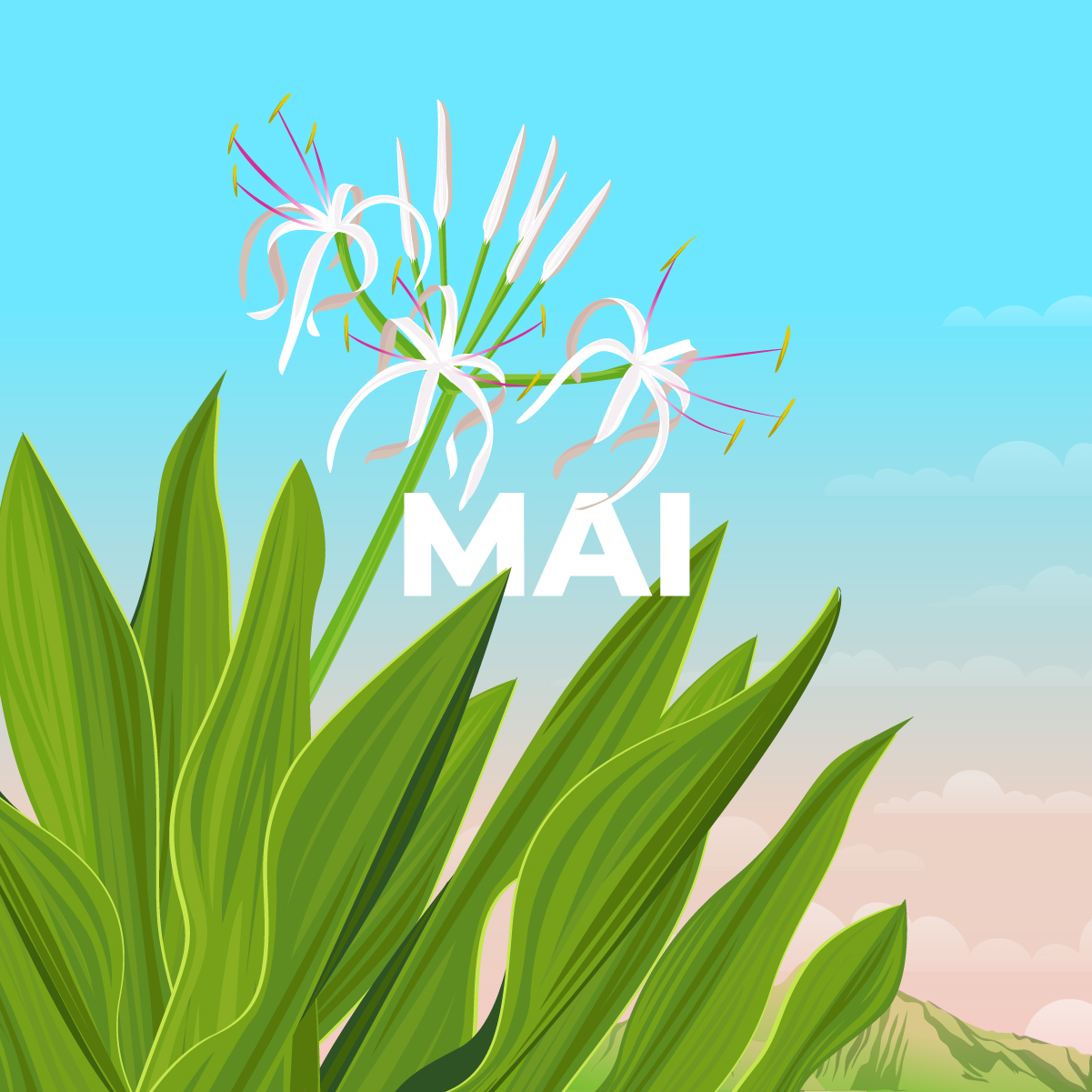 LE CALENDRIER DE MAI 2023 EST DISPONIBLE !