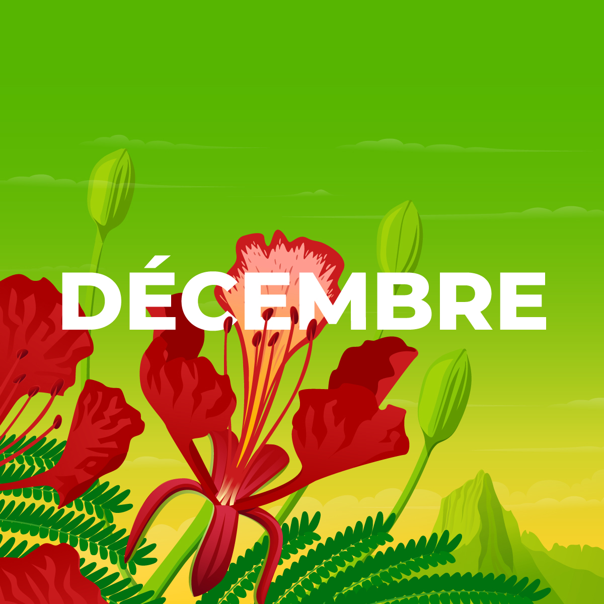 LE CALENDRIER DE DECEMBRE 2023 EST DISPONIBLE !