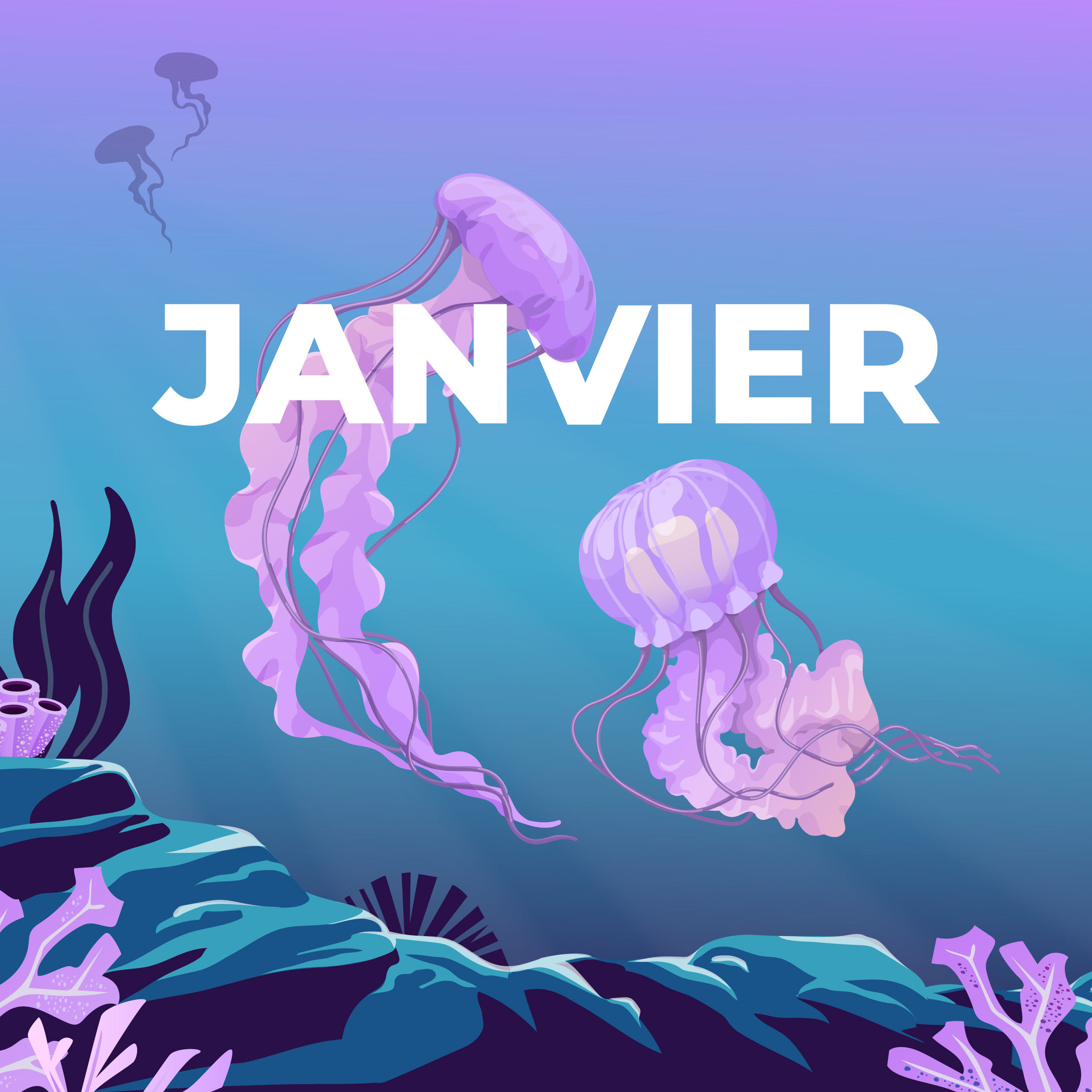 LE CALENDRIER DE JANVIER 2025 EST DISPONIBLE !