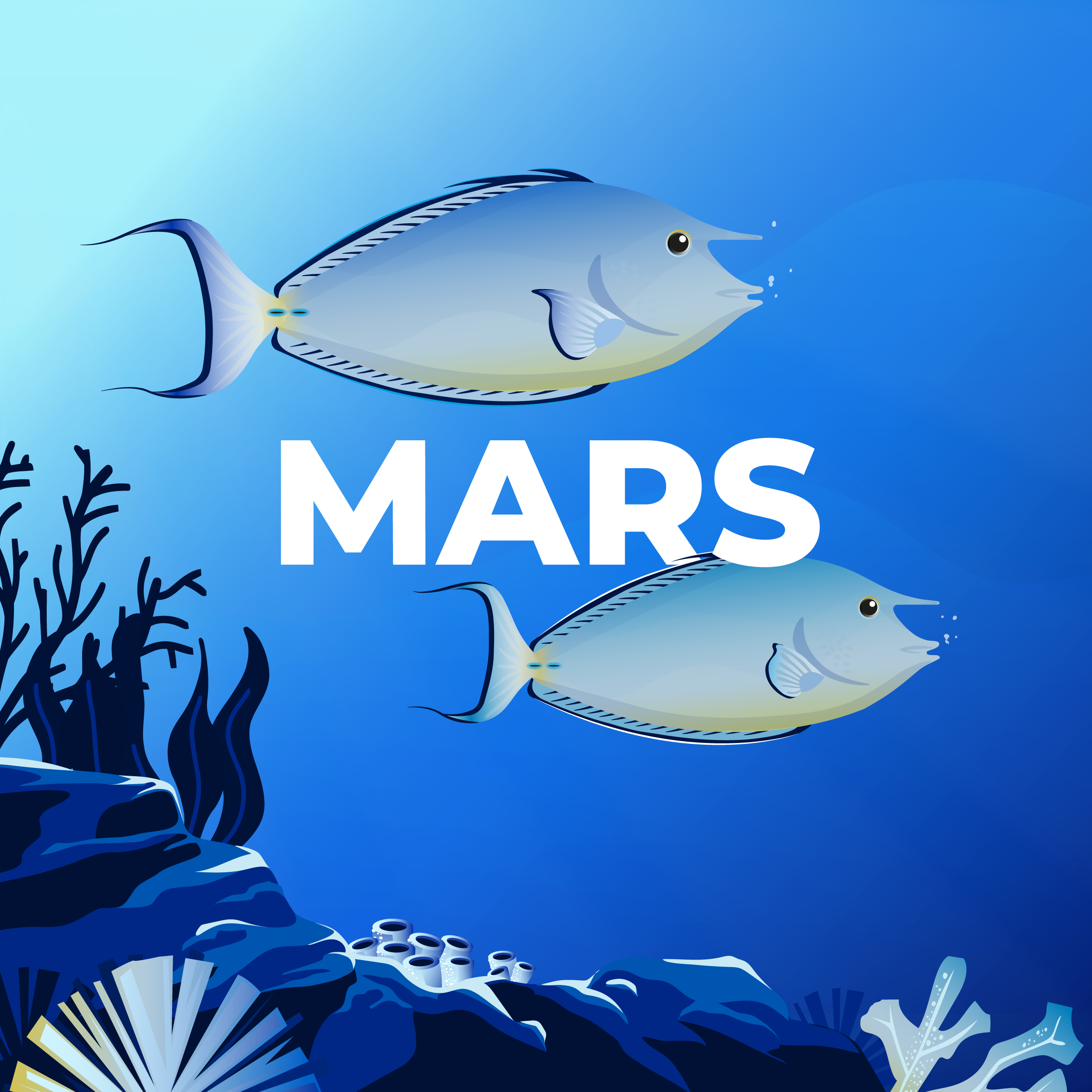 LE CALENDRIER DE MARS 2025 EST DISPONIBLE !