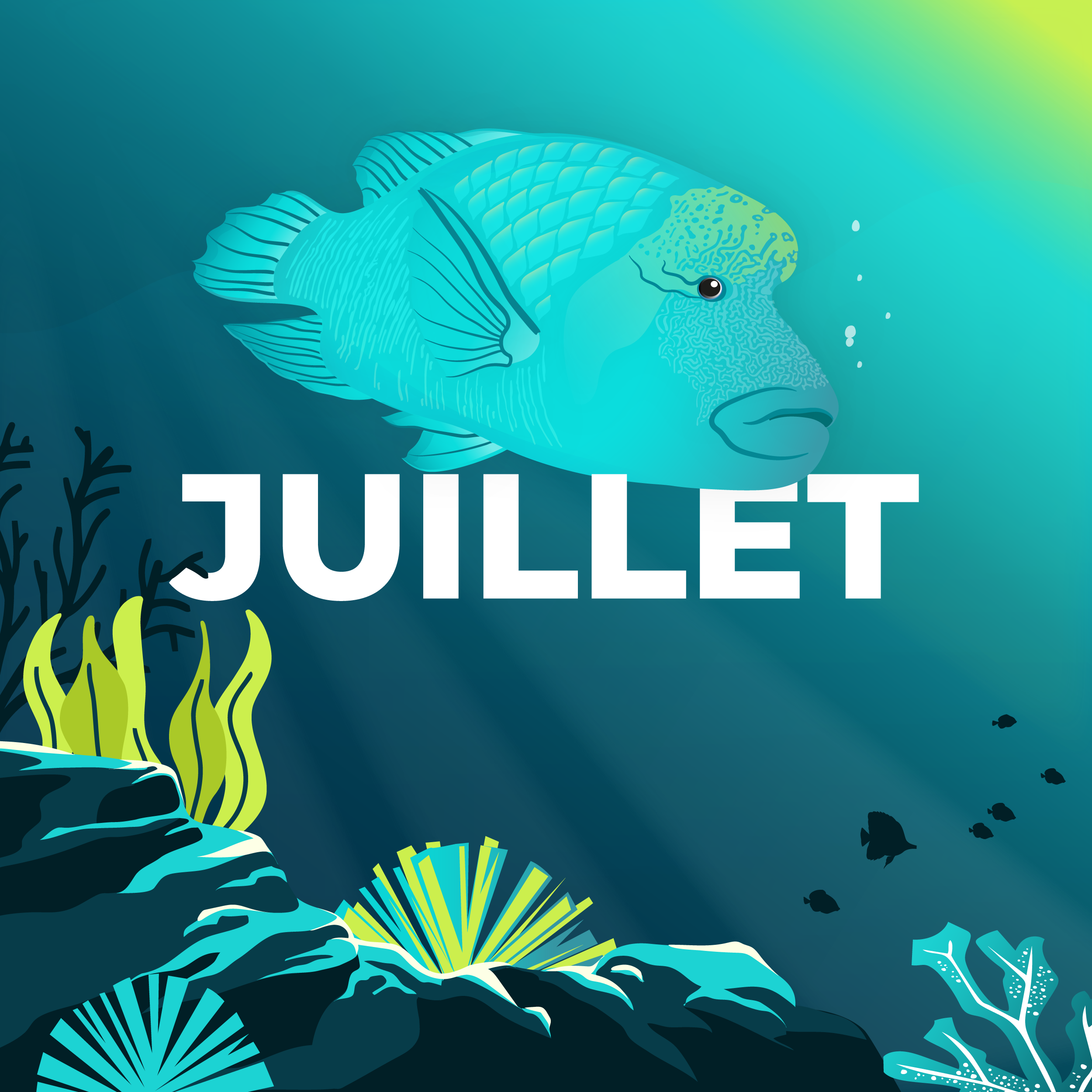 LE CALENDRIER DE JUILLET 2025 EST DISPONIBLE !