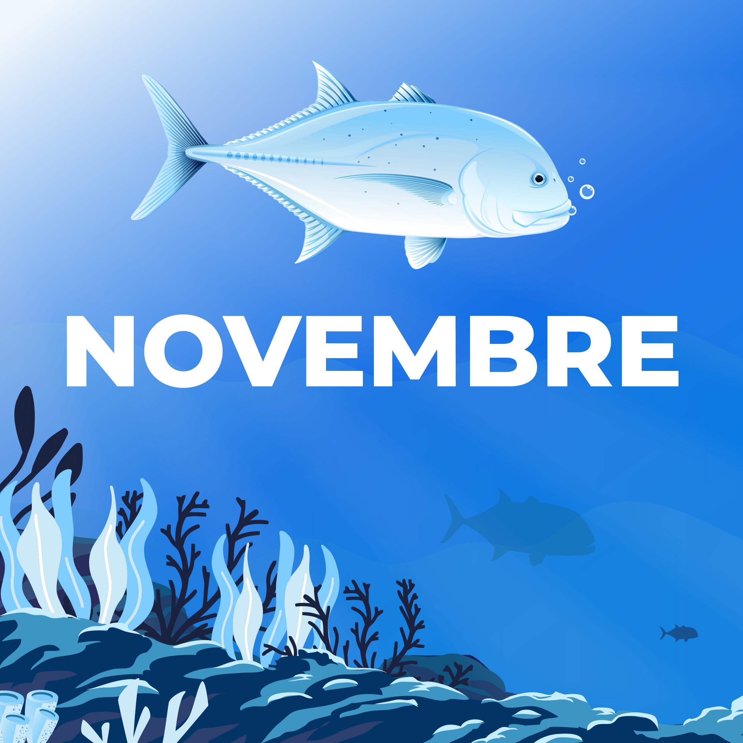 LE CALENDRIER DE NOVEMBRE 2025 EST DISPONIBLE !