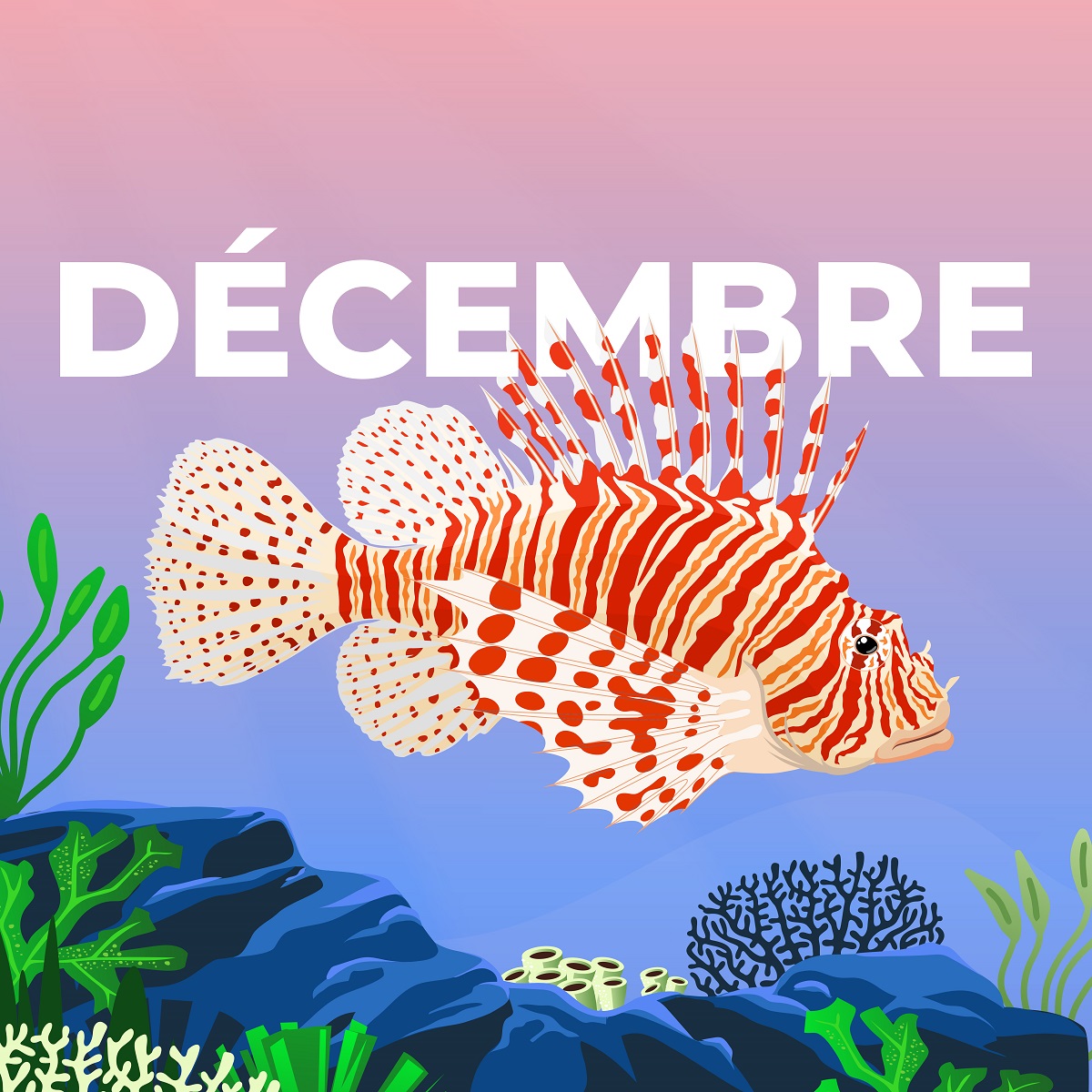 LE CALENDRIER DE DÉCEMBRE 2025 EST DISPONIBLE !