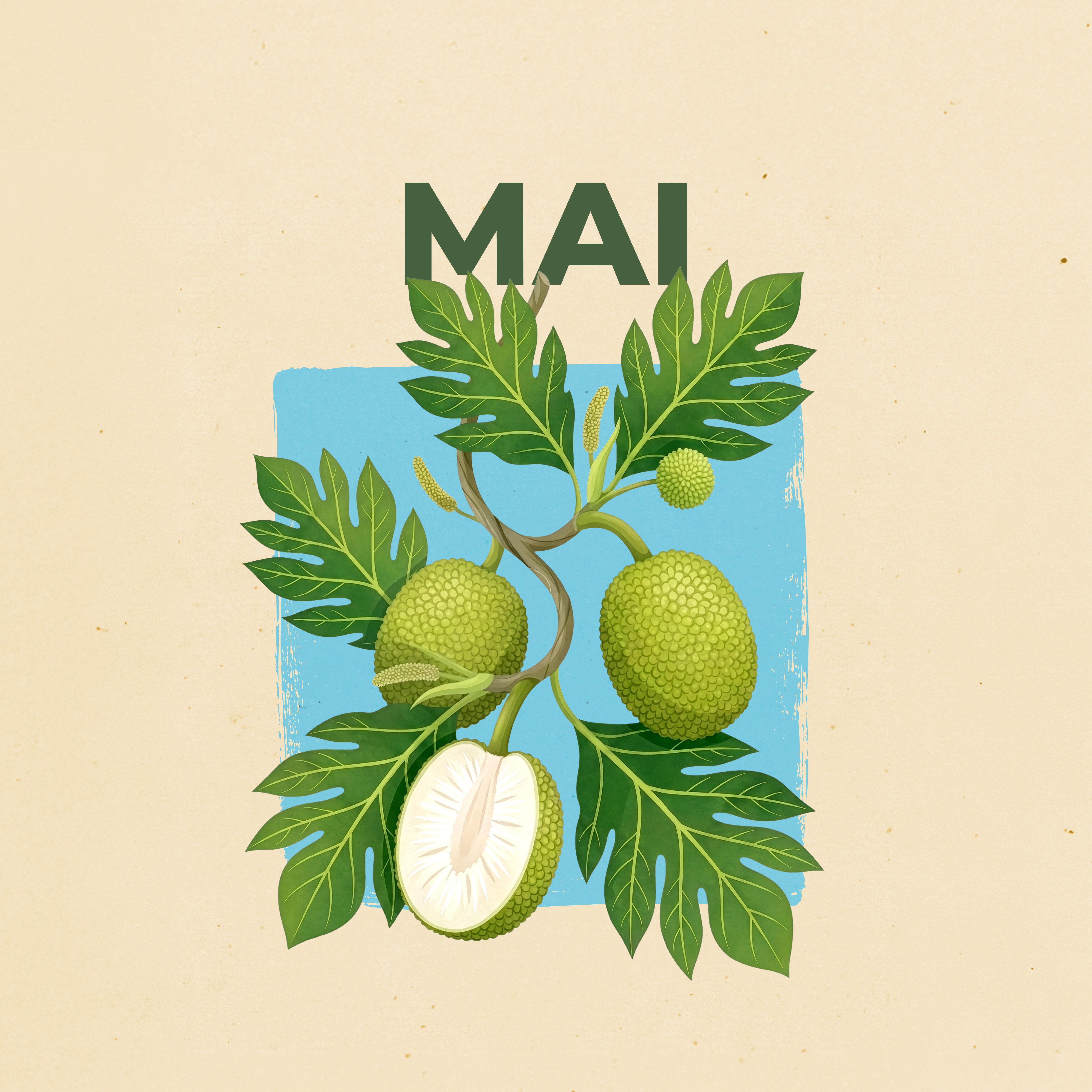 LE CALENDRIER DE MAI 2026 EST DISPONIBLE !