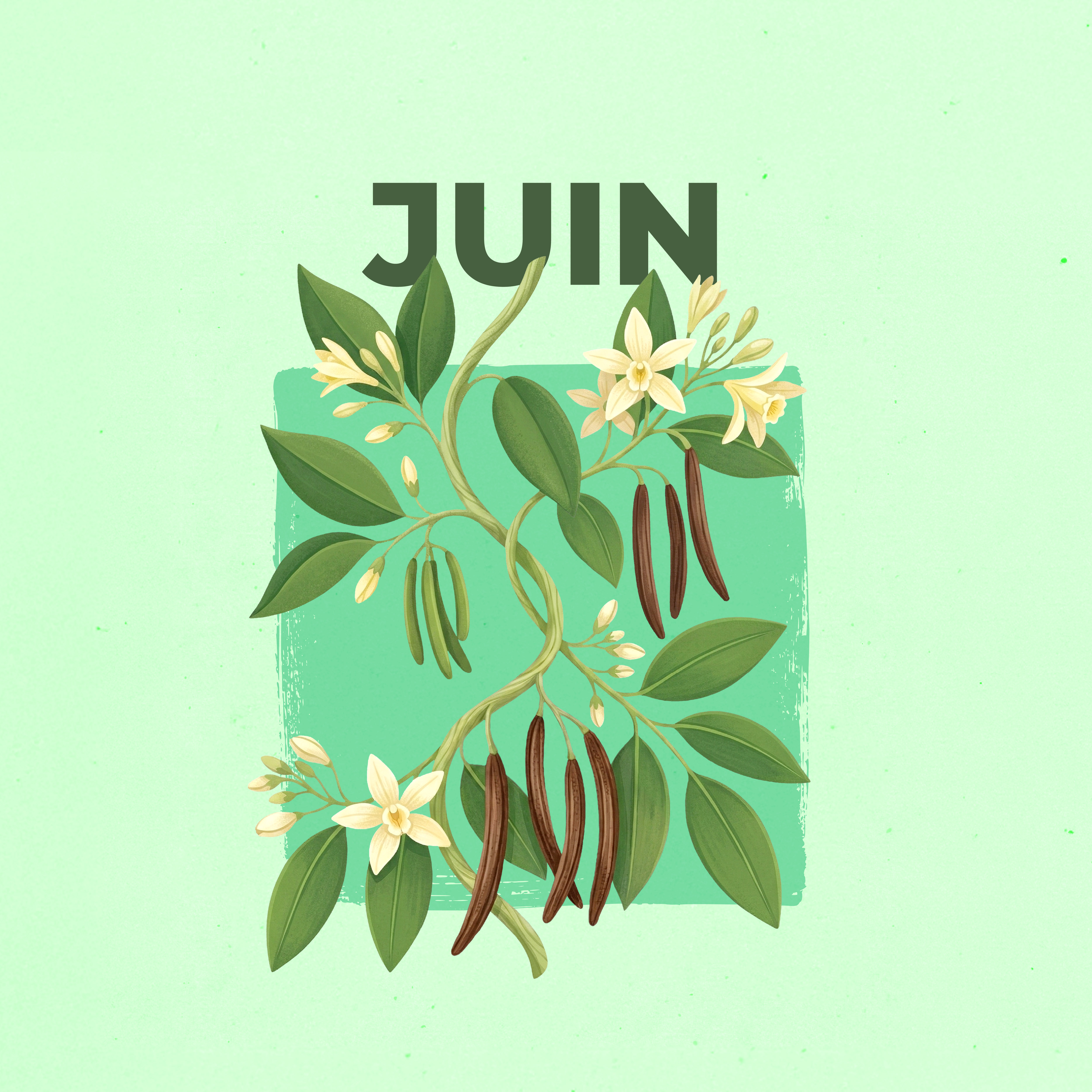 LE CALENDRIER DE JUIN 2026 EST DISPONIBLE !
