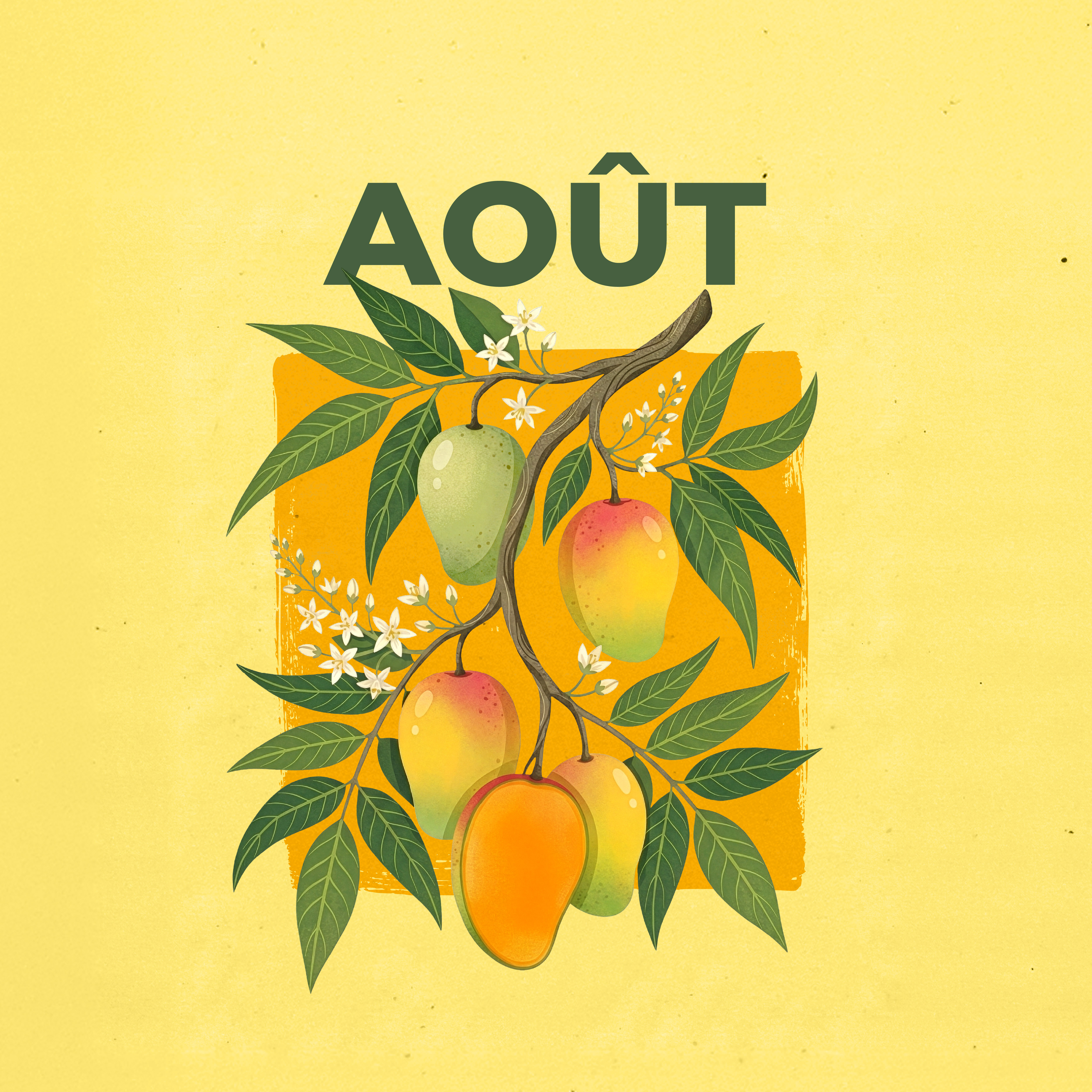 LE CALENDRIER D'AOÛT 2026 EST DISPONIBLE !