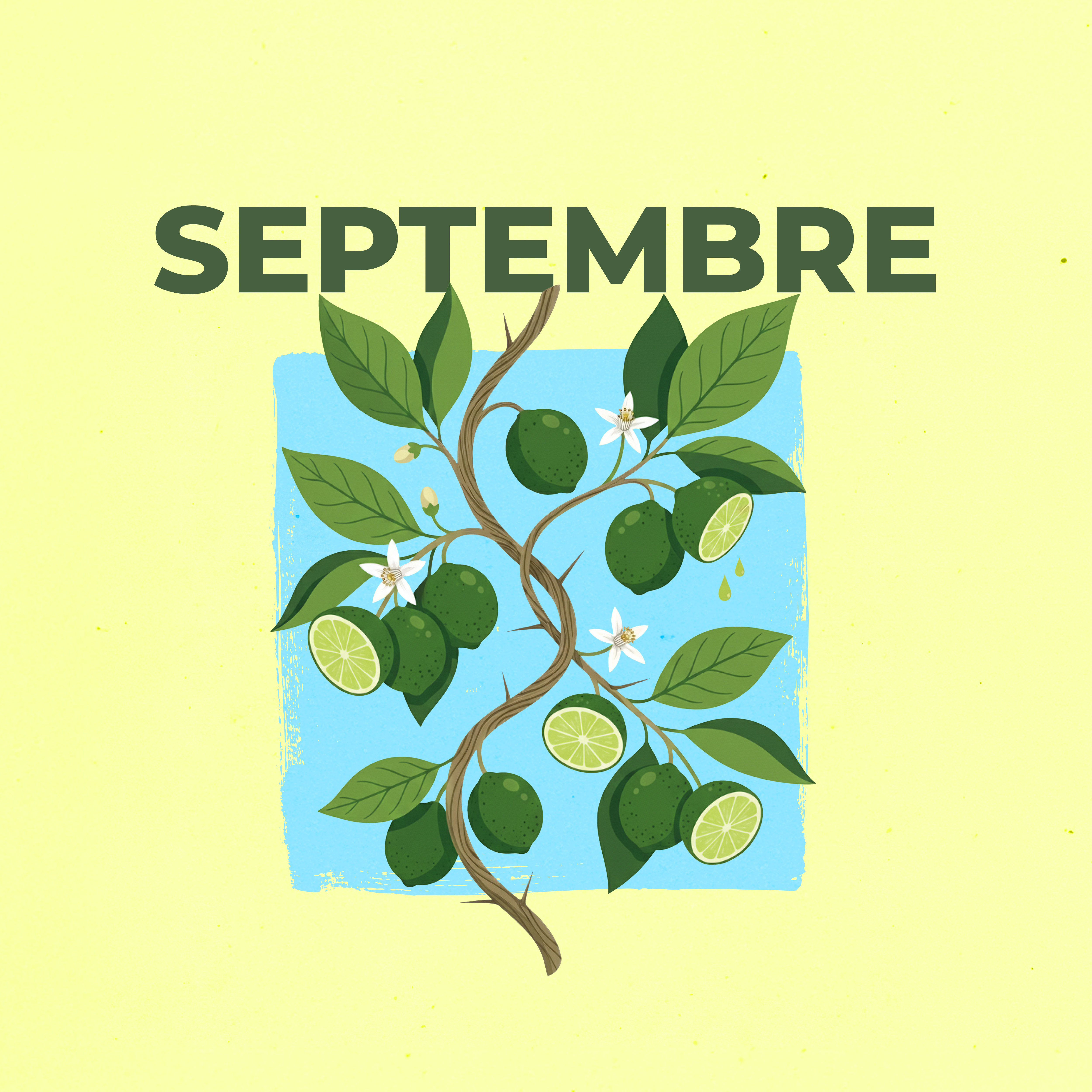 LE CALENDRIER DE SEPTEMBRE 2026 EST DISPONIBLE !