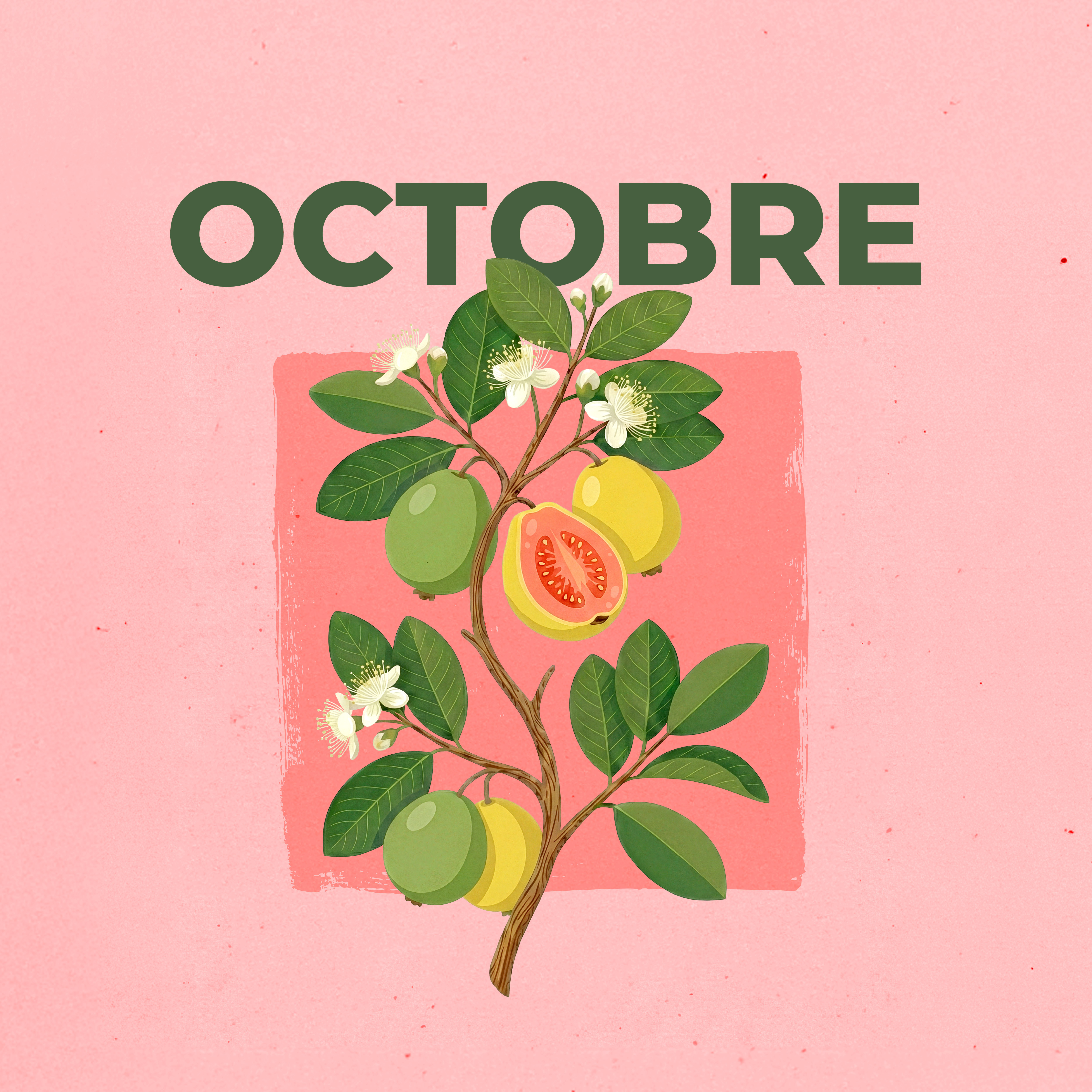 LE CALENDRIER D'OCTOBRE 2026 EST DISPONIBLE !