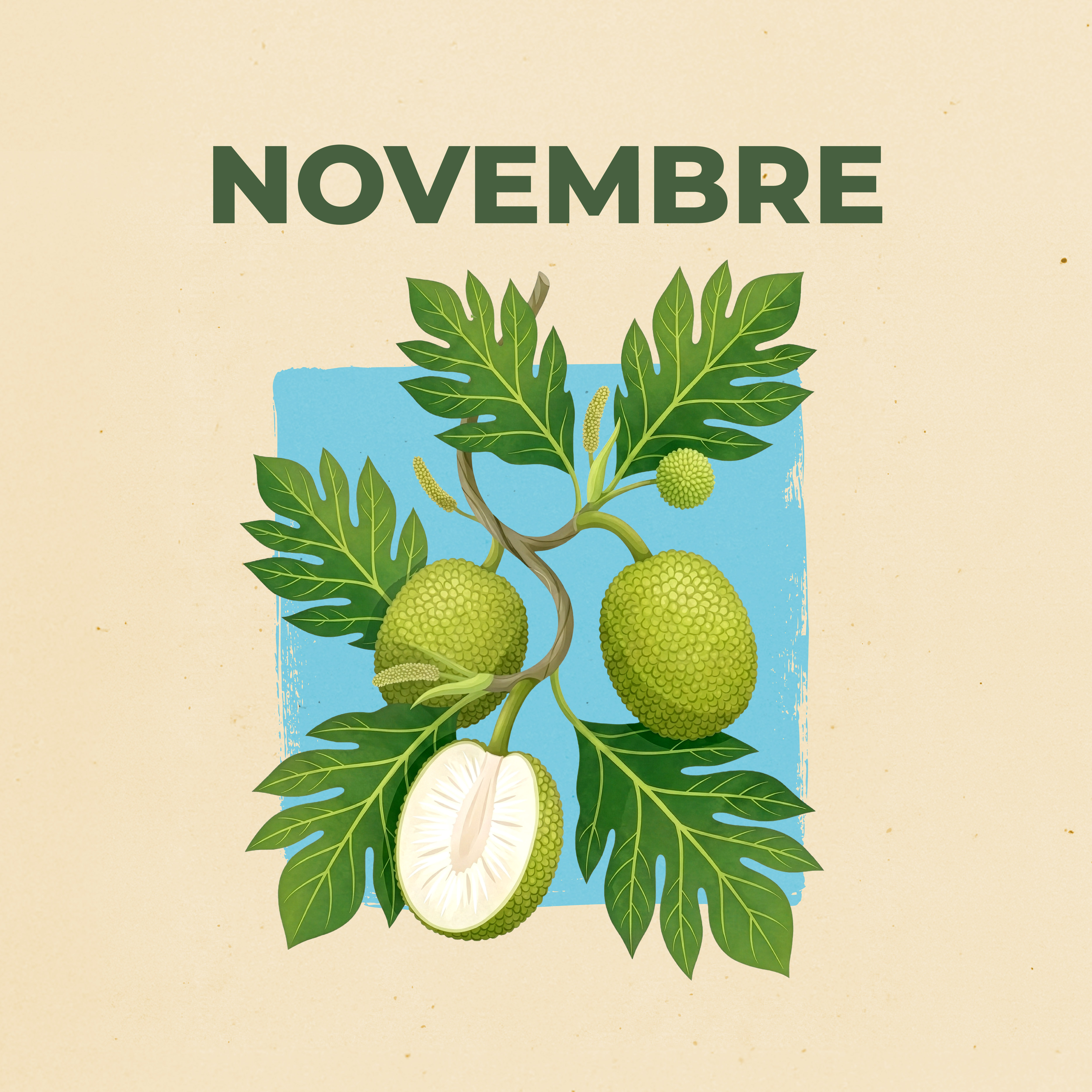 LE CALENDRIER DE NOVEMBRE 2026 EST DISPONIBLE !